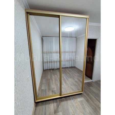 Шкаф купе с 2 зеркальными дверцами А-1